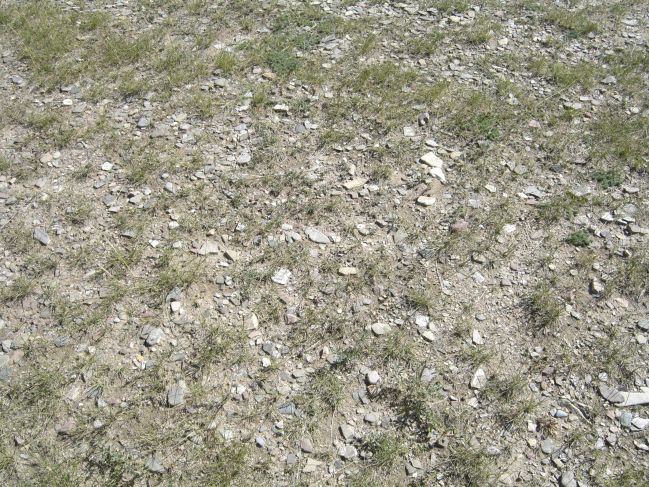  2006:09:07 23:06:22   Flat-pebble beach gravels between NBeachRdg1 and NSideRidge1.jpg